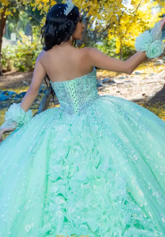 Sweet Sixteen^LizLuo Quinceanera 26094