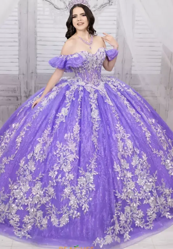 Sweet Sixteen|Plus Sized Quince Dresses^LizLuo Quinceanera 56534