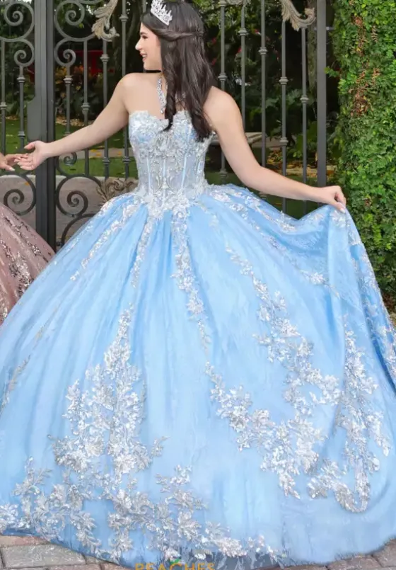 Sweet Sixteen|Plus Sized Quince Dresses^LizLuo Quinceanera 56534