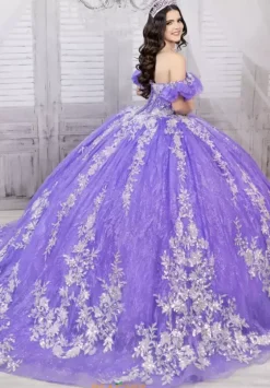 Sweet Sixteen|Plus Sized Quince Dresses^LizLuo Quinceanera 56534