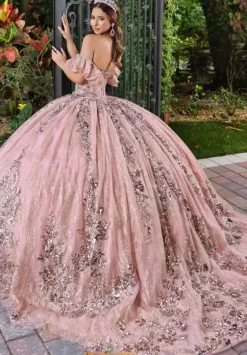 Sweet Sixteen|Plus Sized Quince Dresses^LizLuo Quinceanera 56534