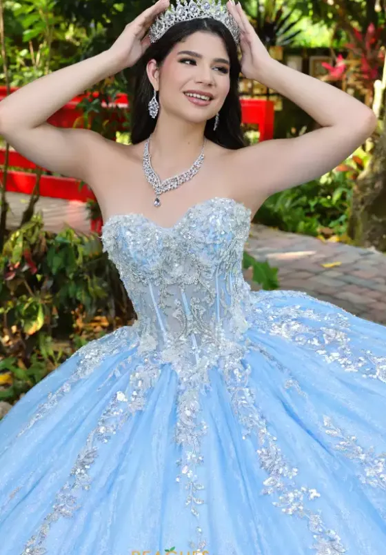 Sweet Sixteen|Plus Sized Quince Dresses^LizLuo Quinceanera 56534