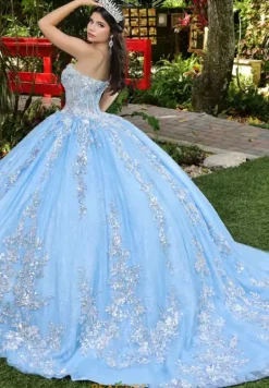 Sweet Sixteen|Plus Sized Quince Dresses^LizLuo Quinceanera 56534
