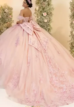 Sweet Sixteen|Plus Sized Quince Dresses^LizLuo Quinceanera 56553