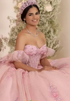 Sweet Sixteen|Plus Sized Quince Dresses^LizLuo Quinceanera 56553