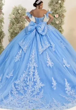 Sweet Sixteen|Plus Sized Quince Dresses^LizLuo Quinceanera 56553
