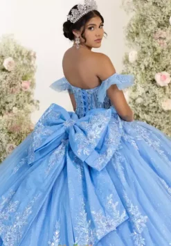 Sweet Sixteen|Plus Sized Quince Dresses^LizLuo Quinceanera 56553
