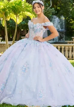 Sweet Sixteen|Plus Sized Quince Dresses^LizLuo Quinceanera 56515