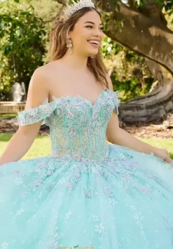 Sweet Sixteen|Plus Sized Quince Dresses^LizLuo Quinceanera 56515