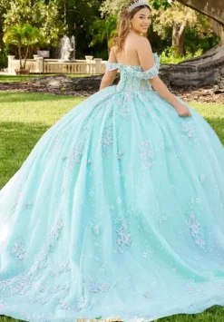 Sweet Sixteen|Plus Sized Quince Dresses^LizLuo Quinceanera 56515