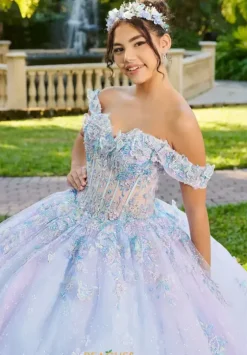 Sweet Sixteen|Plus Sized Quince Dresses^LizLuo Quinceanera 56515