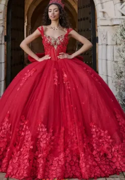 Plus Sized Quince Dresses^LizLuo Quinceanera 80057