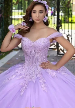 Sweet Sixteen|Plus Sized Quince Dresses^LizLuo Quinceanera 56529