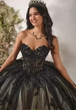 Plus Sized Quince Dresses^LizLuo Quinceanera 56551