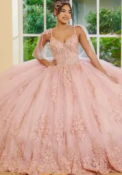 Plus Sized Quince Dresses|Sweet Sixteen^LizLuo Quinceanera 56519