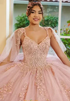 Plus Sized Quince Dresses|Sweet Sixteen^LizLuo Quinceanera 56519
