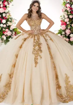Plus Sized Quince Dresses^LizLuo Quinceanera 26134