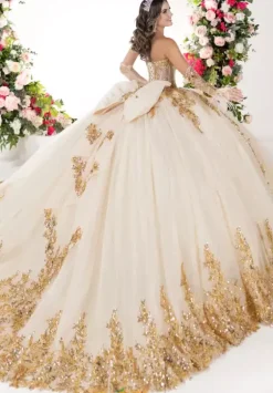 Plus Sized Quince Dresses^LizLuo Quinceanera 26134