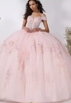 Plus Sized Quince Dresses^LizLuo Quinceanera 56547