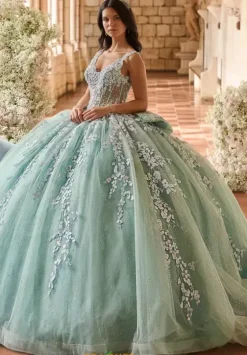 Plus Sized Quince Dresses^LizLuo Quinceanera 56541