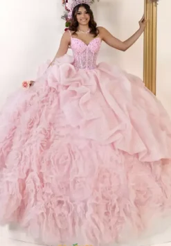 Plus Sized Quince Dresses^LizLuo Quinceanera 80061