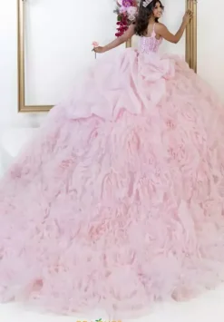 Plus Sized Quince Dresses^LizLuo Quinceanera 80061