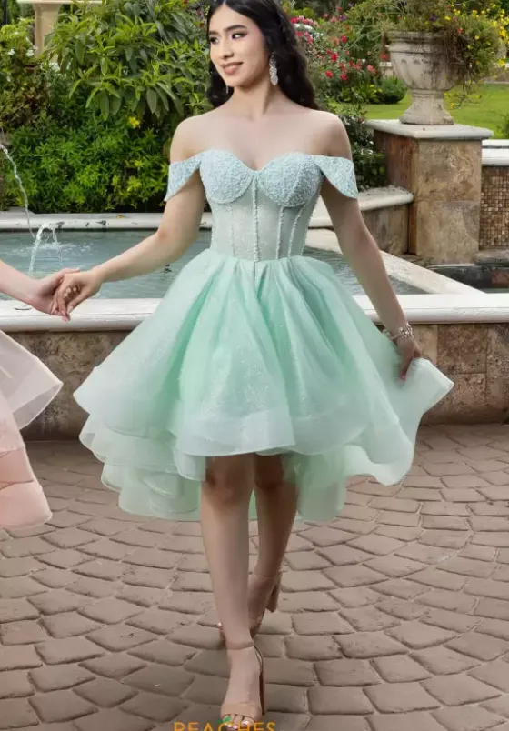 Plus Sized Quince Dresses|Sweet Sixteen^LizLuo Quinceanera 26103