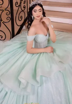 Plus Sized Quince Dresses|Sweet Sixteen^LizLuo Quinceanera 26103