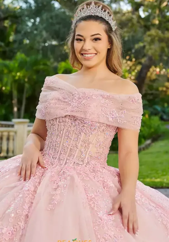 Quince Dresses With Sleeves|Plus Sized Quince Dresses^LizLuo Quinceanera 56508