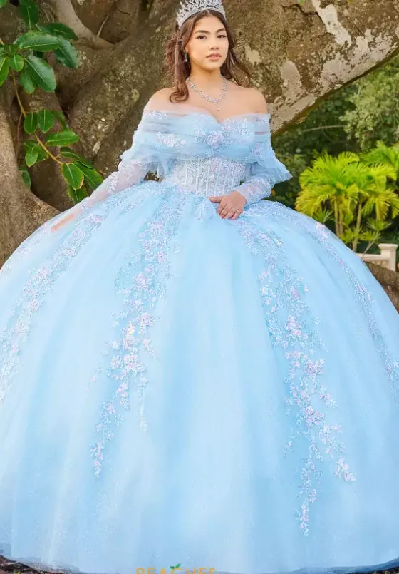 Quince Dresses With Sleeves|Plus Sized Quince Dresses^LizLuo Quinceanera 56508