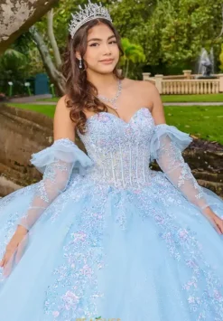 Quince Dresses With Sleeves|Plus Sized Quince Dresses^LizLuo Quinceanera 56508
