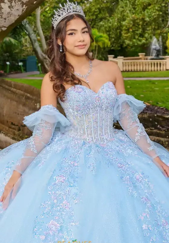 Quince Dresses With Sleeves|Plus Sized Quince Dresses^LizLuo Quinceanera 56508