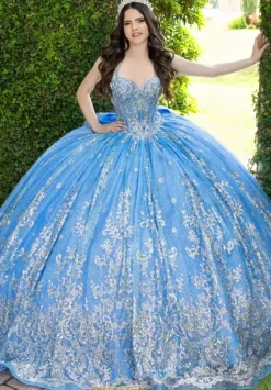 Sweet Sixteen|Plus Sized Quince Dresses^LizLuo Quinceanera 56533