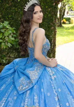 Sweet Sixteen|Plus Sized Quince Dresses^LizLuo Quinceanera 56533