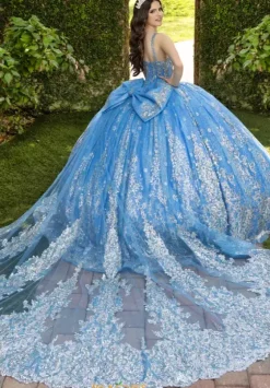 Sweet Sixteen|Plus Sized Quince Dresses^LizLuo Quinceanera 56533
