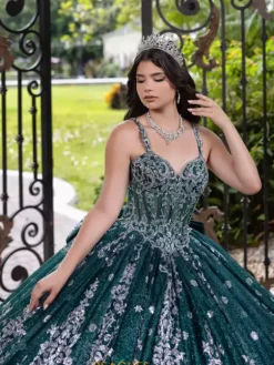 Sweet Sixteen|Plus Sized Quince Dresses^LizLuo Quinceanera 56533
