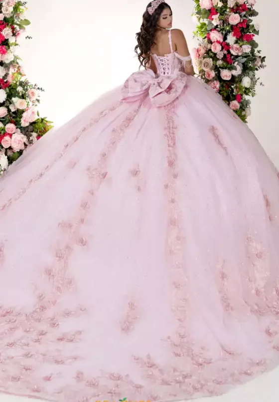 Plus Sized Quince Dresses^LizLuo Quinceanera 26136