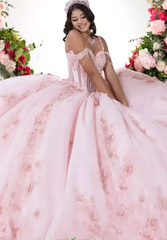 Plus Sized Quince Dresses^LizLuo Quinceanera 26136