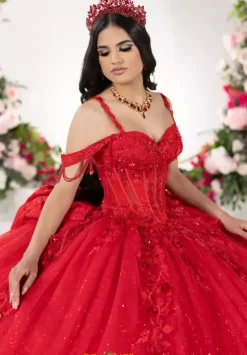 Plus Sized Quince Dresses^LizLuo Quinceanera 26136