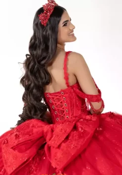 Plus Sized Quince Dresses^LizLuo Quinceanera 26136