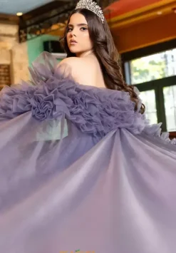 Plus Sized Quince Dresses|Sweet Sixteen^LizLuo Quinceanera 80022