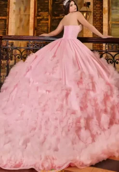 Plus Sized Quince Dresses|Sweet Sixteen^LizLuo Quinceanera 80022