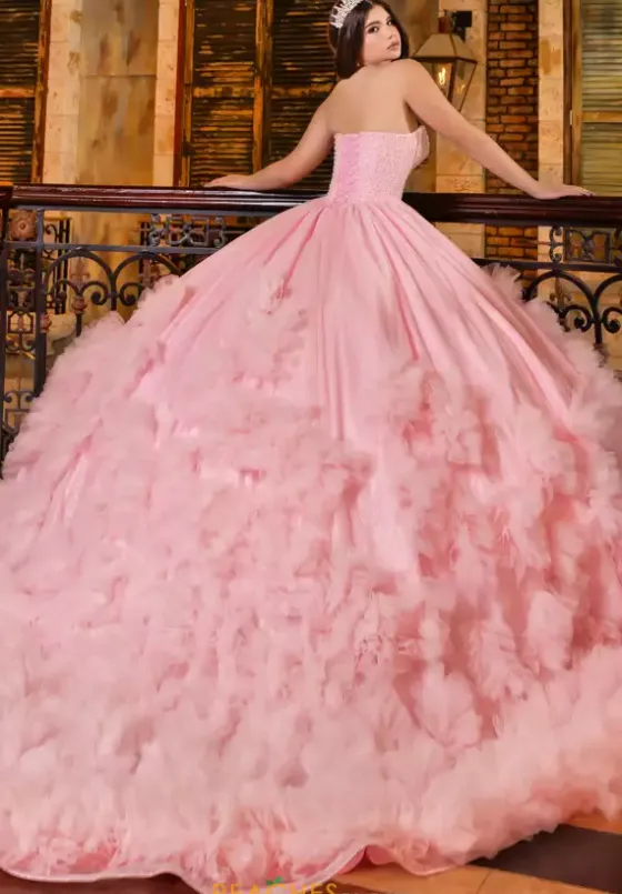 Plus Sized Quince Dresses|Sweet Sixteen^LizLuo Quinceanera 80022