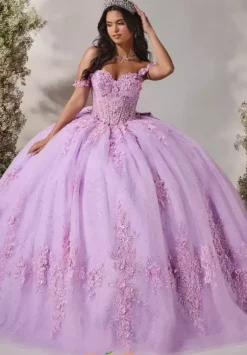 Plus Sized Quince Dresses^LizLuo Quinceanera 56543