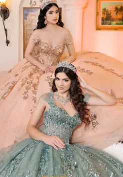 Sweet Sixteen|Plus Sized Quince Dresses^LizLuo Quinceanera 26106