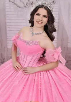 Plus Sized Quince Dresses|Sweet Sixteen^LizLuo Quinceanera 26114