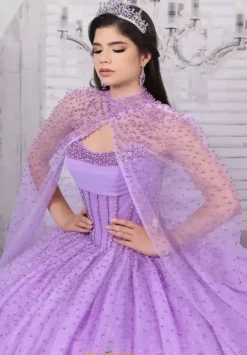 Plus Sized Quince Dresses|Sweet Sixteen^LizLuo Quinceanera 26114