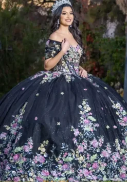 Plus Sized Quince Dresses|Sweet Sixteen^LizLuo Quinceanera 26088