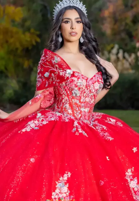 Plus Sized Quince Dresses|Sweet Sixteen^LizLuo Quinceanera 26088