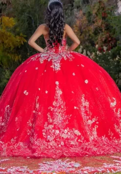 Plus Sized Quince Dresses|Sweet Sixteen^LizLuo Quinceanera 26088